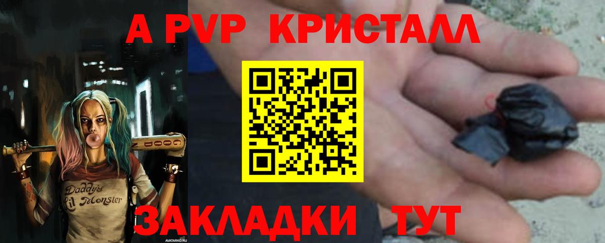 A PVP СК Ухта