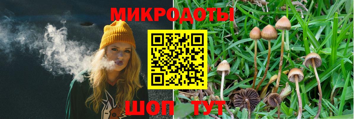 Ухта  Галлюциногенные грибы GOLDEN TEACHER  Вход с VPN 